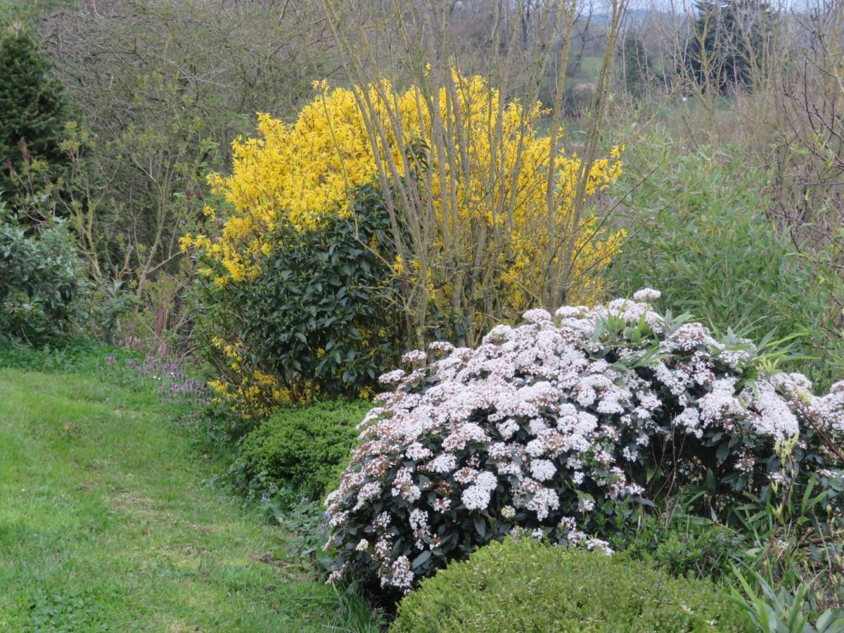 Ecrin De Verdure Sainte-Suzanne  Dış mekan fotoğraf