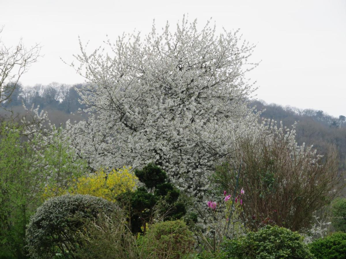 Ecrin De Verdure Sainte-Suzanne  Dış mekan fotoğraf