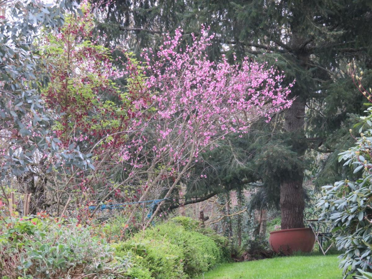 Ecrin De Verdure Sainte-Suzanne  Dış mekan fotoğraf