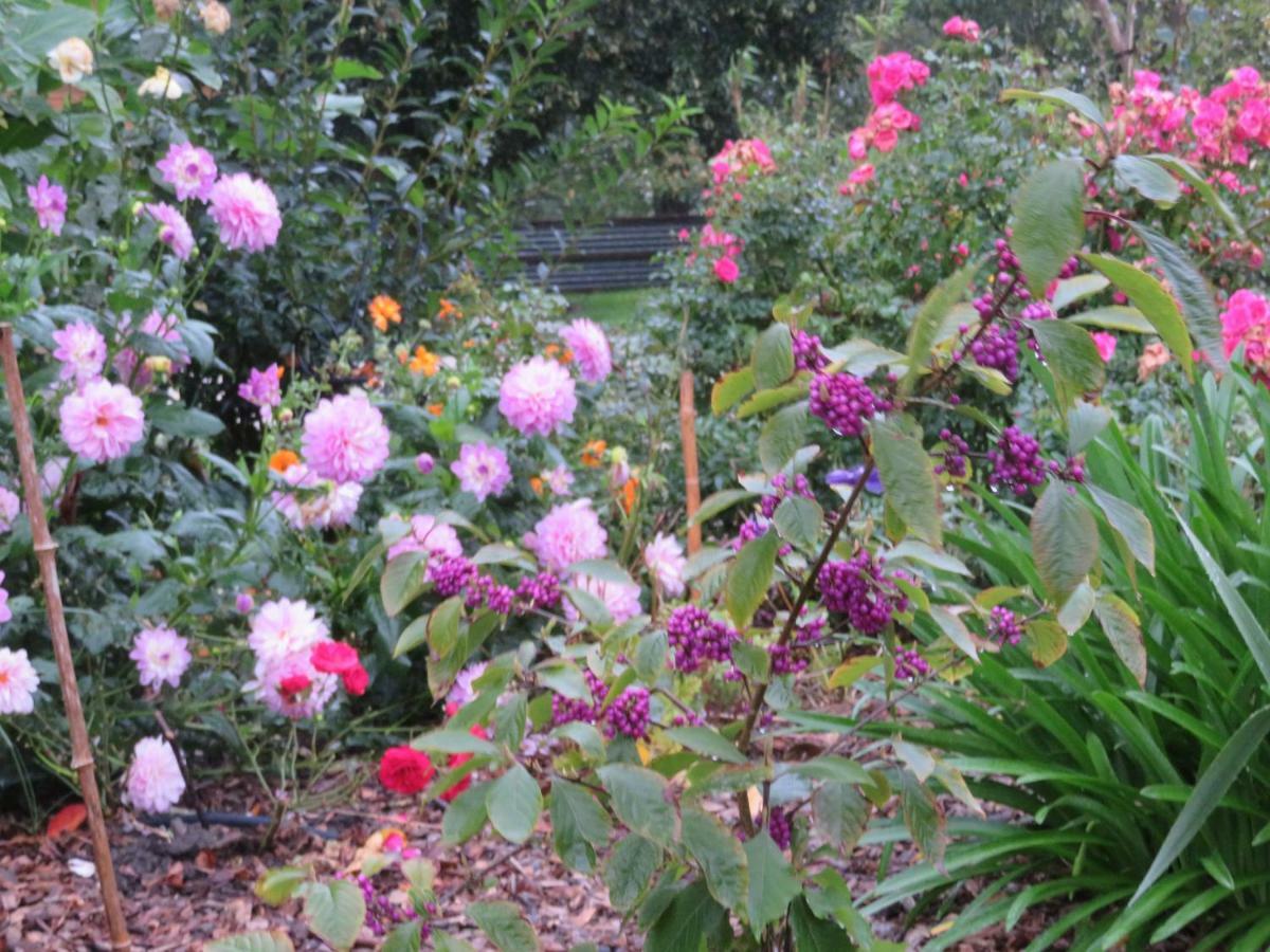 Ecrin De Verdure Sainte-Suzanne  Dış mekan fotoğraf